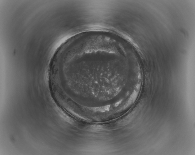 X0000110861463200907021406