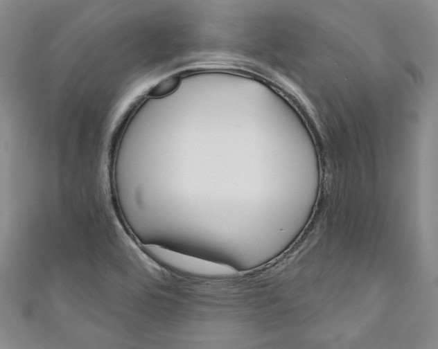 X0000110861464200907021406