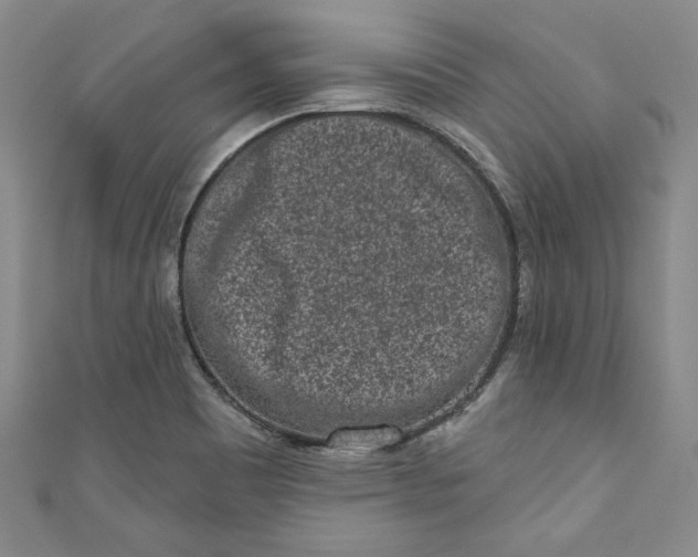 X0000110861465200907021406