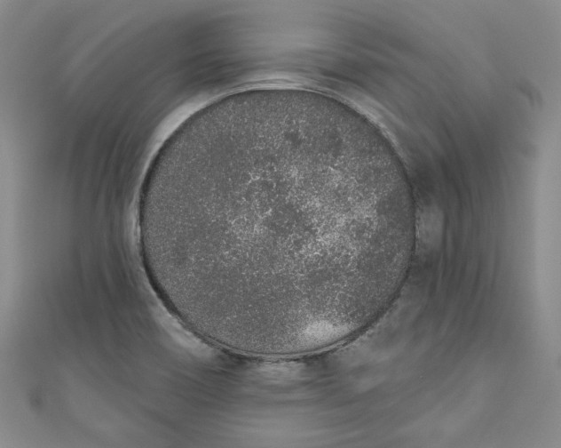 X0000110861466200907021406