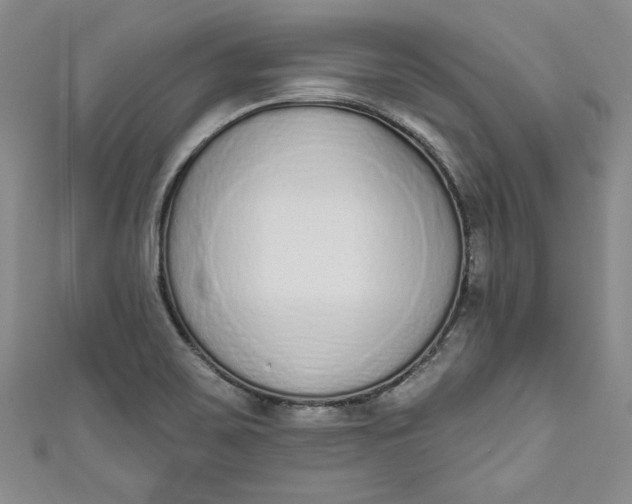 X0000110861467200907021406