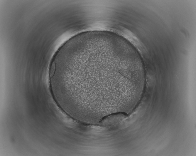 X0000110861469200907021406