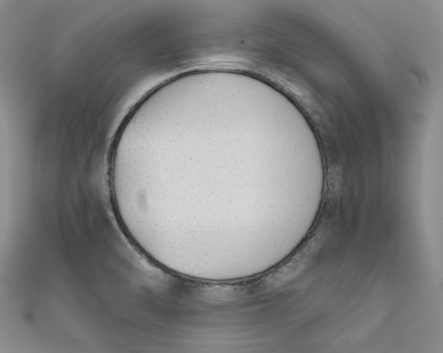 X0000110861470200907021406