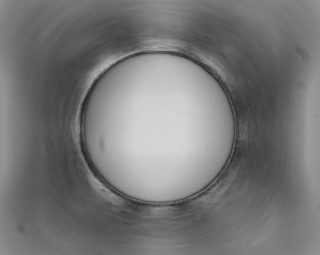 X0000110861471200907021406