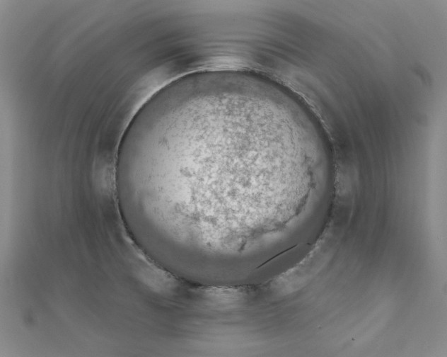 X0000110861473200907021406