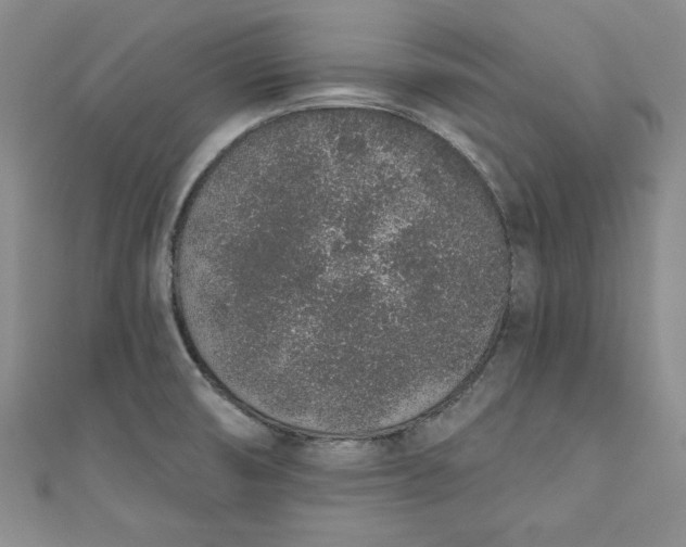 X0000110861474200907021406