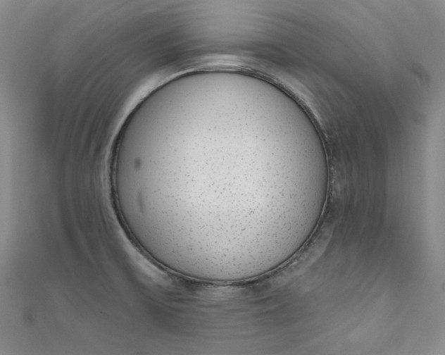 X0000110861475200907021405