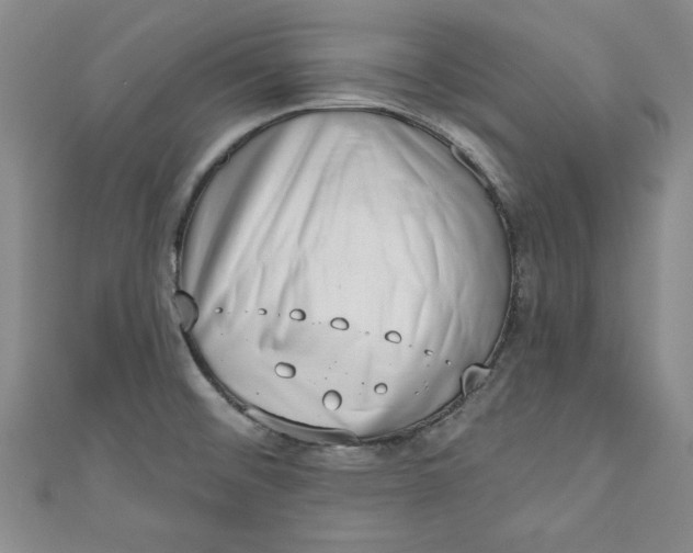 X0000110861476200907021405