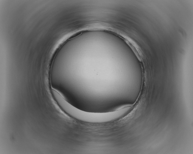 X0000110861477200907021405