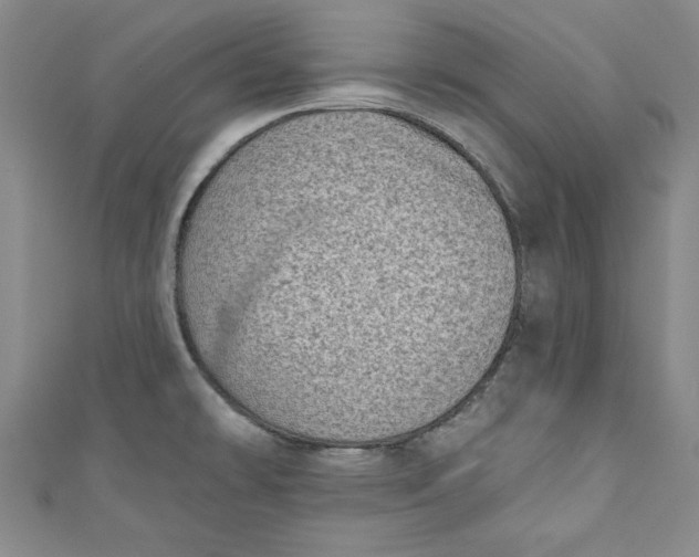 X0000110861478200907021405