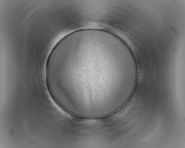 X0000110861479200907021405