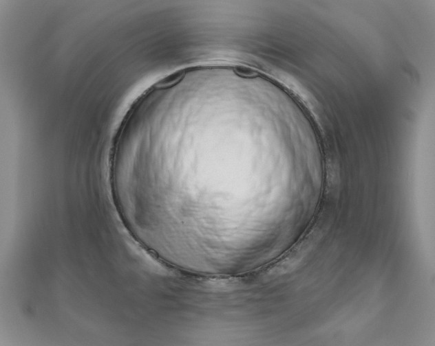 X0000110861480200907021405