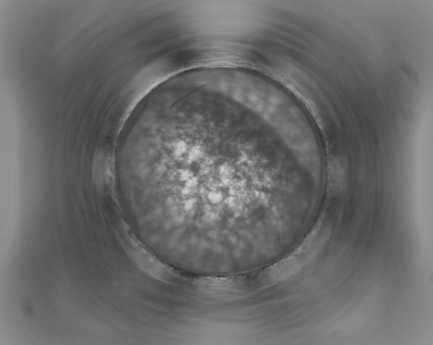 X0000110861481200907021405