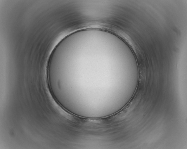 X0000110861483200907021405