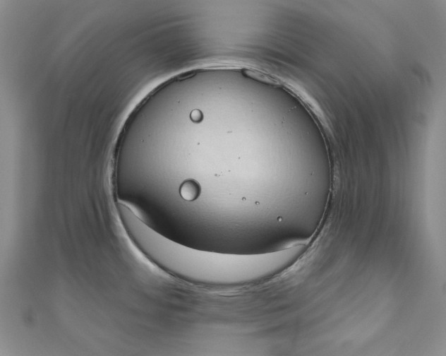 X0000110861484200907021405