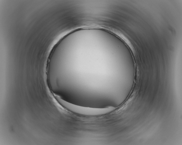 X0000110861485200907021405