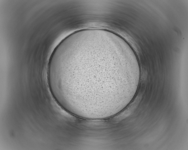 X0000110861486200907021405