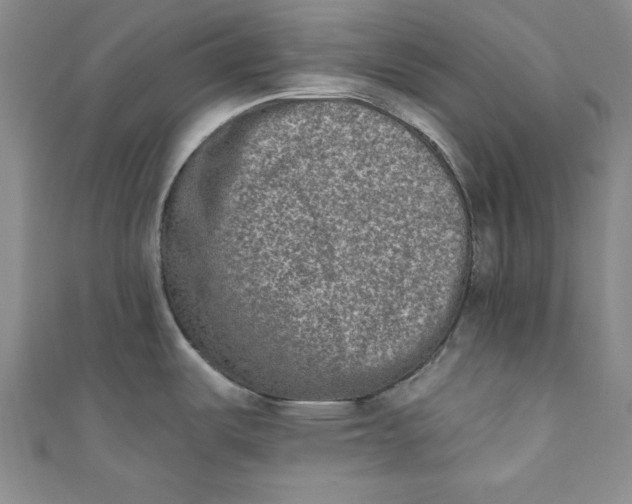 X0000110861487200907021405