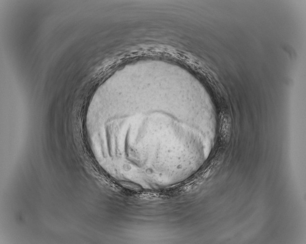 X0000110861489200907021405