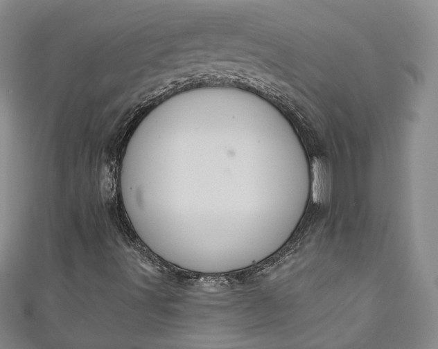 X0000110861491200907021405