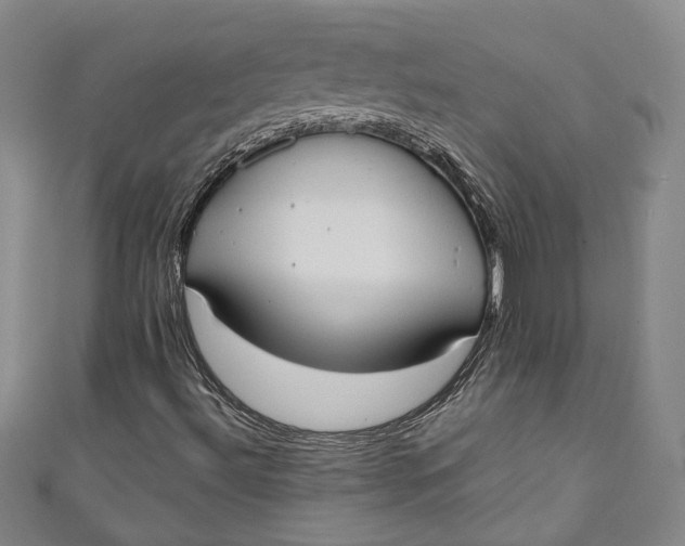 X0000110861492200907021405