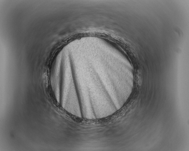 X0000110861493200907021405