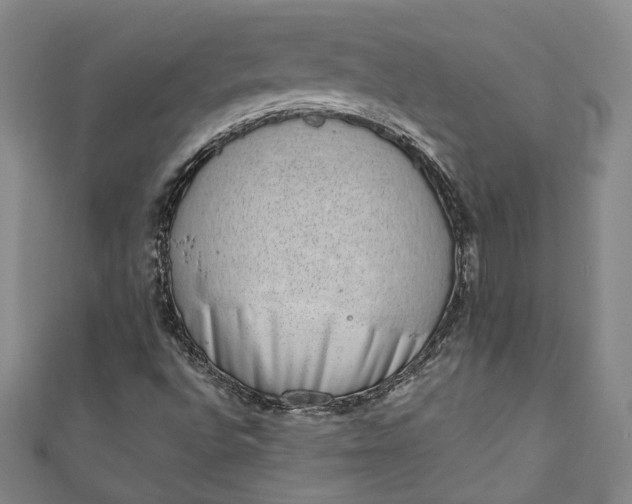 X0000110861496200907021405