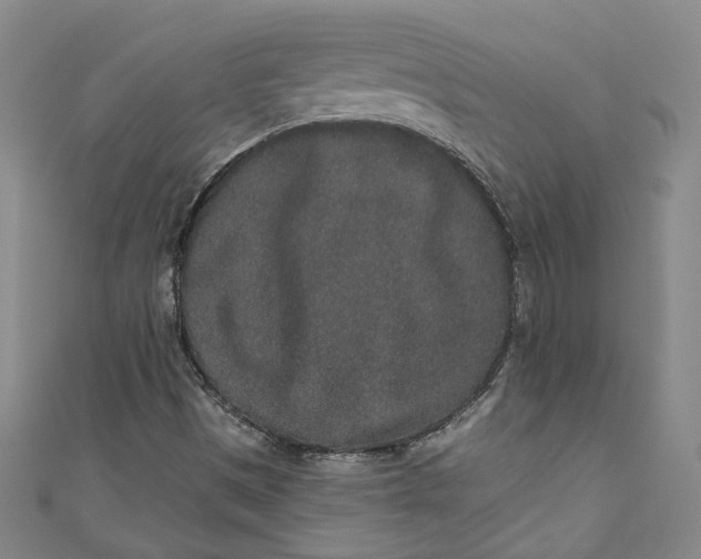 X0000110861497200907021405