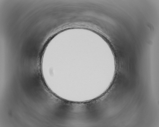 X0000110861498200907021405