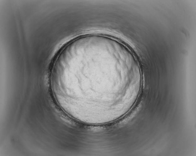 X0000110861501200907021405