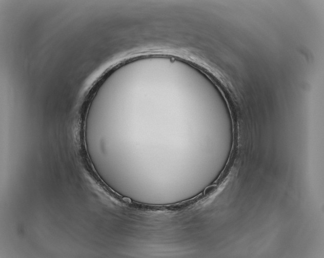 X0000110861502200907021405