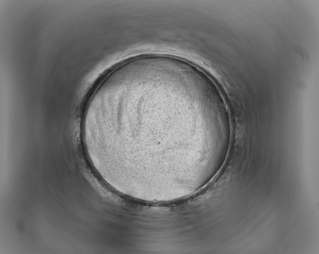 X0000110861503200907021405