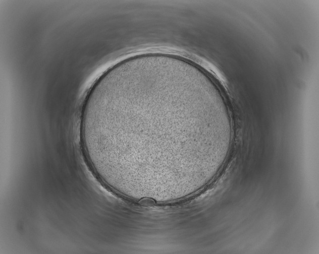 X0000110861504200907021405