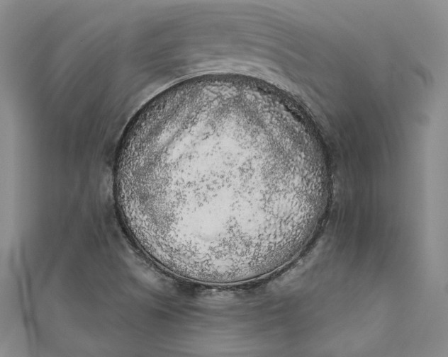 X0000110861505200907021405