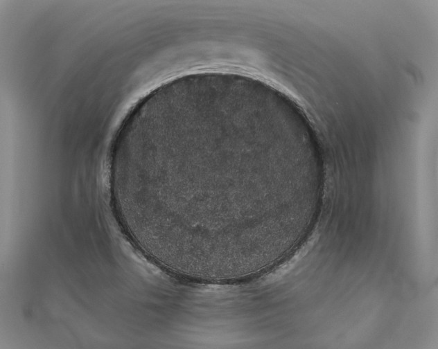 X0000110861506200907021405