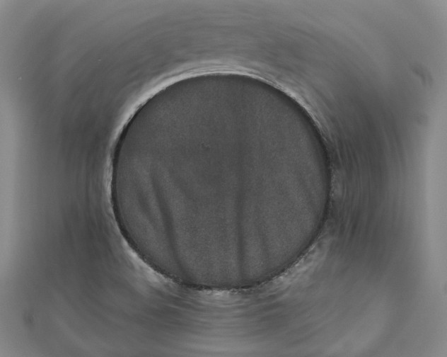 X0000110861508200907021405