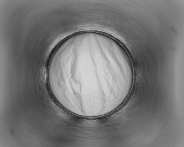 X0000110861509200907021405