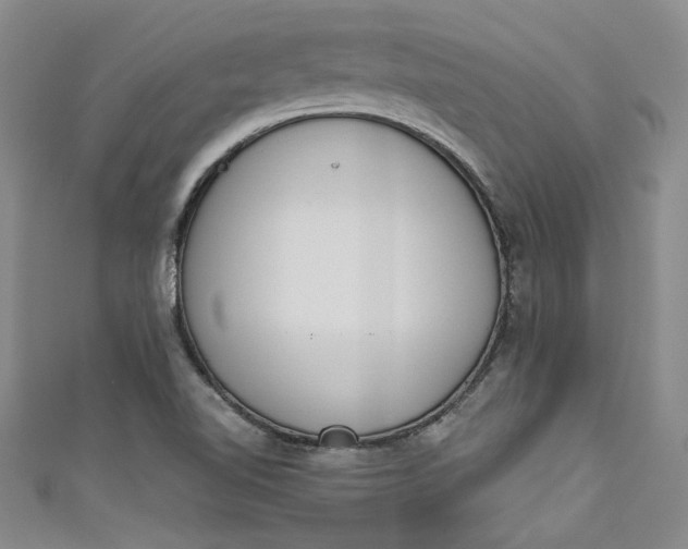 X0000110861510200907021405