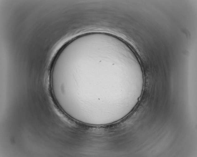 X0000110861511200907021405