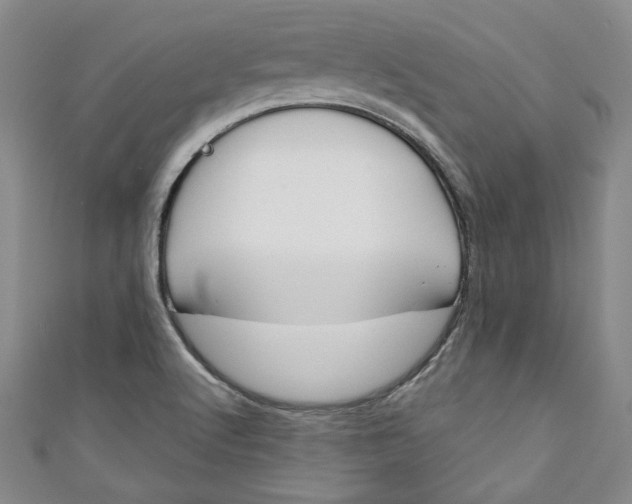 X0000110861512200907021405