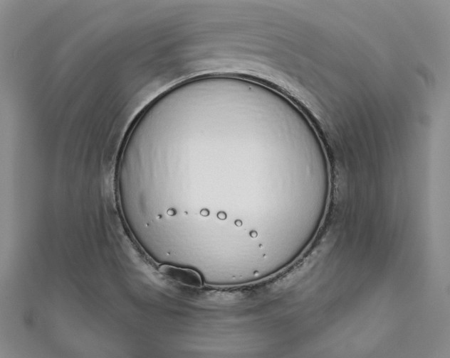 X0000110861513200907021405