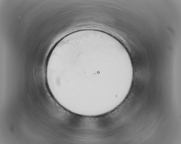 X0000110861514200907021405