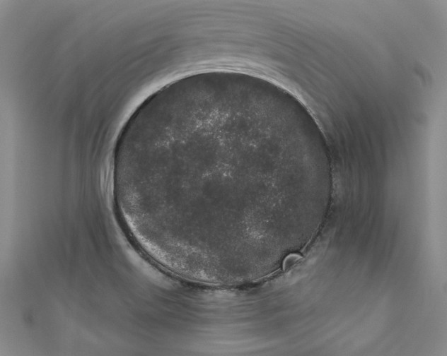 X0000110861515200907021405