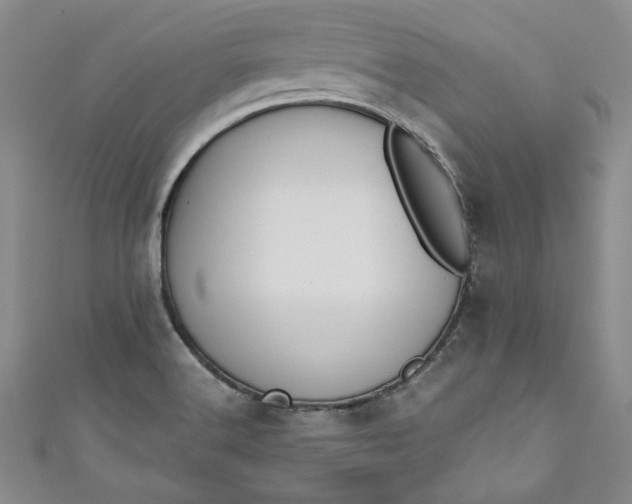 X0000110861516200907021405