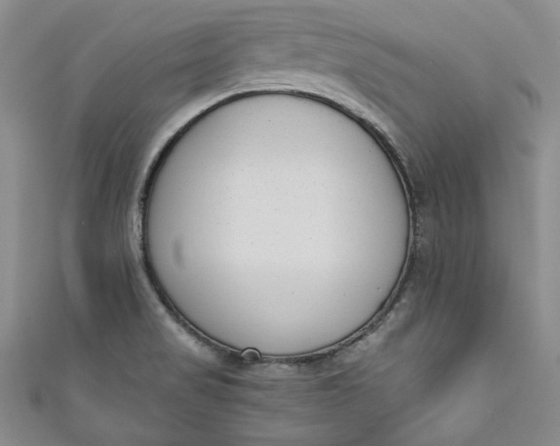 X0000110861517200907021405