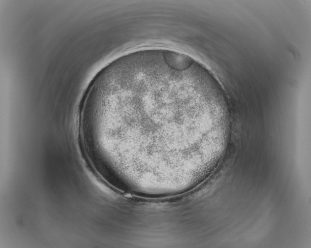 X0000110861519200907021405