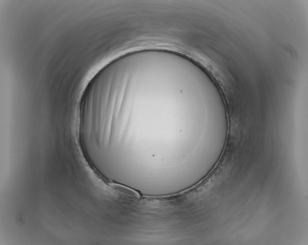 X0000110861520200907021405