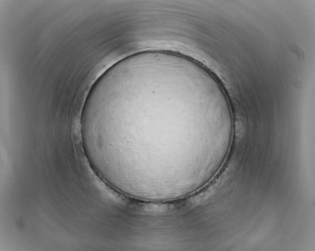 X0000110861521200907021405