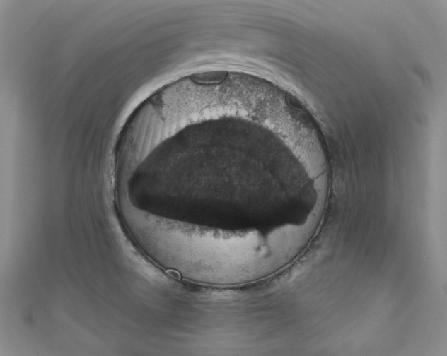 X0000110861522200907021405