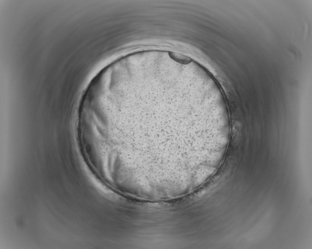 X0000110861523200907021405